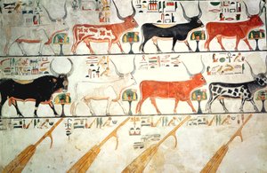 Die sieben himmlischen Kühe und der heilige Stier und die vier Ruder des Himmels, aus dem Grab von Nefertari, Neues Reich