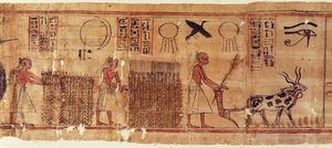 Totenbuch des Neb-Hepet, Detail der Felder von Egyptian 21st Dynasty