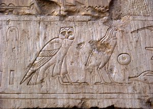 Ägyptische Antike: Relief, das eine Eule und einen Adler darstellt. Grab von Ankh-Hor (Ankh Hor) (TT414) (26. Dynastie, 672-525 v. Chr.), Luxor (Theben), Ägypten von Egyptian 26th Dynasty