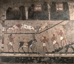 Agrarszene, Wandmalerei aus der Mastaba des Ti in Sakkara, Altes Reich, ca. 2494-2345 v. Chr. (bemalter Kalkstein)
