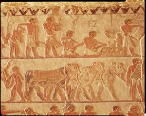 Bemaltes Relief darstellend die Steuererhebung und eine Gruppe von Rindern, Altes Reich