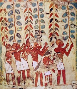 Ägyptisches Grabwandgemälde von Egyptian Egyptian