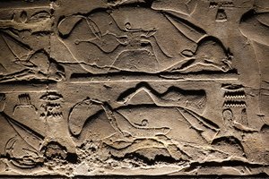 Luxor-Tempel: geopferte Kühe