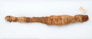 Mumie eines Krokodils, gefunden in Manfalont, 305-30 v. Chr. von Egyptian Ptolemaic Period