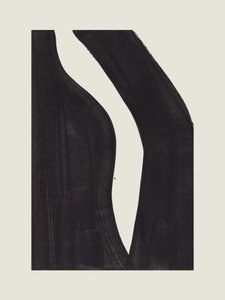 Dynamische schwarze Kurven