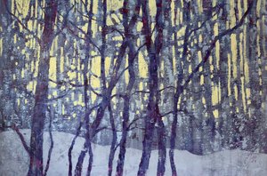 Winterwaldlicht