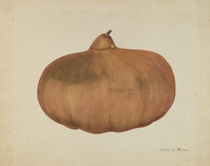 Pionier-Salz-Kürbis