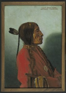 Häuptling Wolf-Robe von Elbridge Ayer Burbank