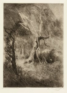 Die Tragödie eines Nestes von Elbridge Kingsley