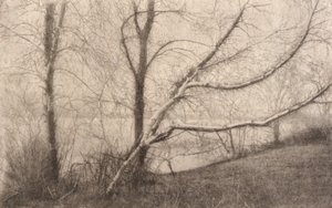 Ohne Titel von Elbridge Kingsley