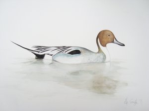 Spießente, 2011 von Eleanor Grafton