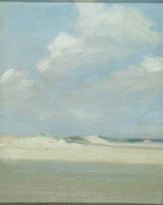 Dünen am Meer (Laguna Beach)