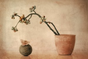 Erdige Beeren und Orchidee