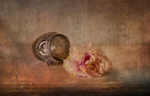 Rosa Pfingstrose und Andenken von Elena Arjona
