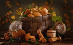 Herbstliche Pilzfreunde von Eleonora Grigorjeva