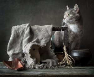 Vintage Stillleben mit Katze