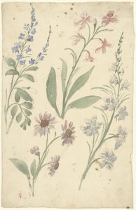 Vier Studien von rosa und blauen Blumen
