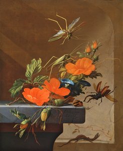Ein Strauß Rosen, Prunkwinde und Haselnüsse mit Heuschrecken, Hirschkäfer und Eidechse von Elias van den Broeck