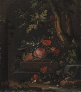 Blumen von Elias van den Broeck