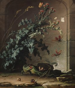 Steinnische mit Distel, Eidechse und Insekten, 1690 von Elias van den Broeck
