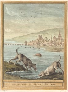 Die zwei Hunde und der tote Esel von Elie du Mesnil after Jean Baptiste Oudry