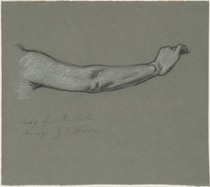 Studie für "Die Schicksale sammeln die Sterne" von Elihu Vedder