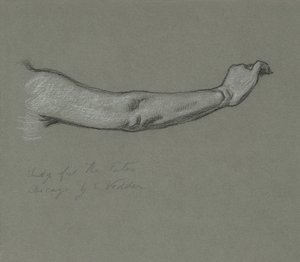 Studie für Die Schicksale, die die Sterne sammeln von Elihu Vedder