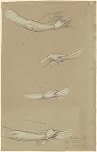 Studie für Die Schicksale, die die Sterne sammeln, um 1884-1887 von Elihu Vedder