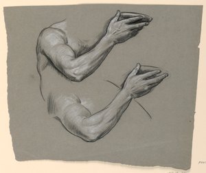 Studie eines Arms