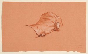 Draperiestudie für kostümierten männlichen Torso von Elihu Vedder