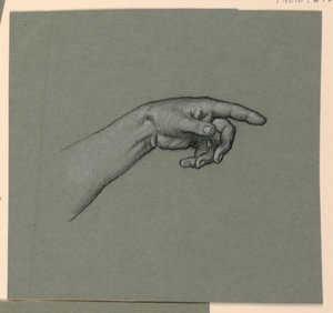 zeigt linke Hand und Handgelenk von Elihu Vedder