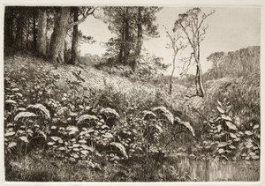 Ein Sommernachmittag von Elis F. Miller