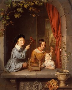Spielen mit dem Haustier-Vogel
