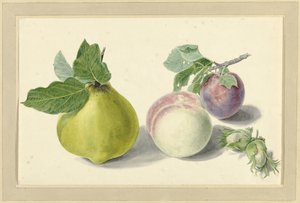 Eine Birne, Pfirsich, Pflaume und Nüsse von Elisabeth Geertruida van de Kasteele