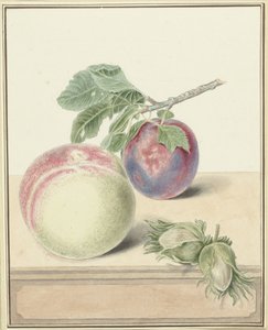Pfirsich, eine Pflaume mit Blatt und ein paar Nüsse von Elisabeth Geertruida van de Kasteele