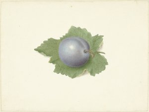Pflaume auf einem Blatt von Elisabeth Geertruida van de Kasteele