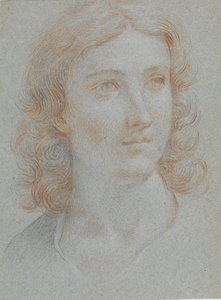 Kopf eines jungen Mannes von Elisabetta Sirani