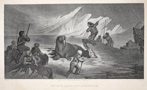 Walrossjagd vor Pikantlik, Illustration aus 