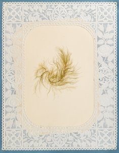 Algen von Eliza A. Jordson