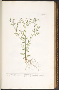 Tafel 103, aus 
