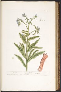 Tafel 112, aus 