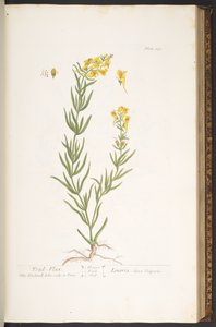 Tafel 115, aus 