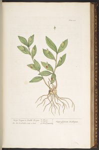 Tafel 128, aus 