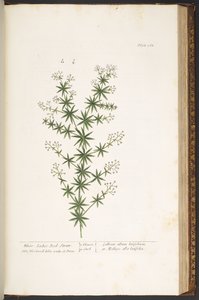 Tafel 168, aus 
