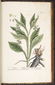 Tafel 252, aus 