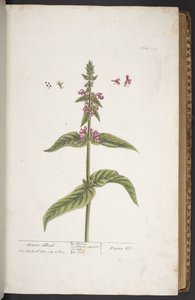 Tafel 273, aus 