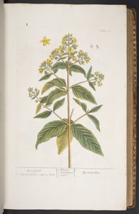 Tafel 278, aus 