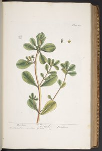 Tafel 287, aus 