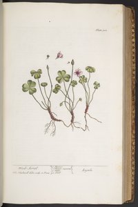 Tafel 308, aus 