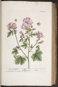 Tafel 309, aus 